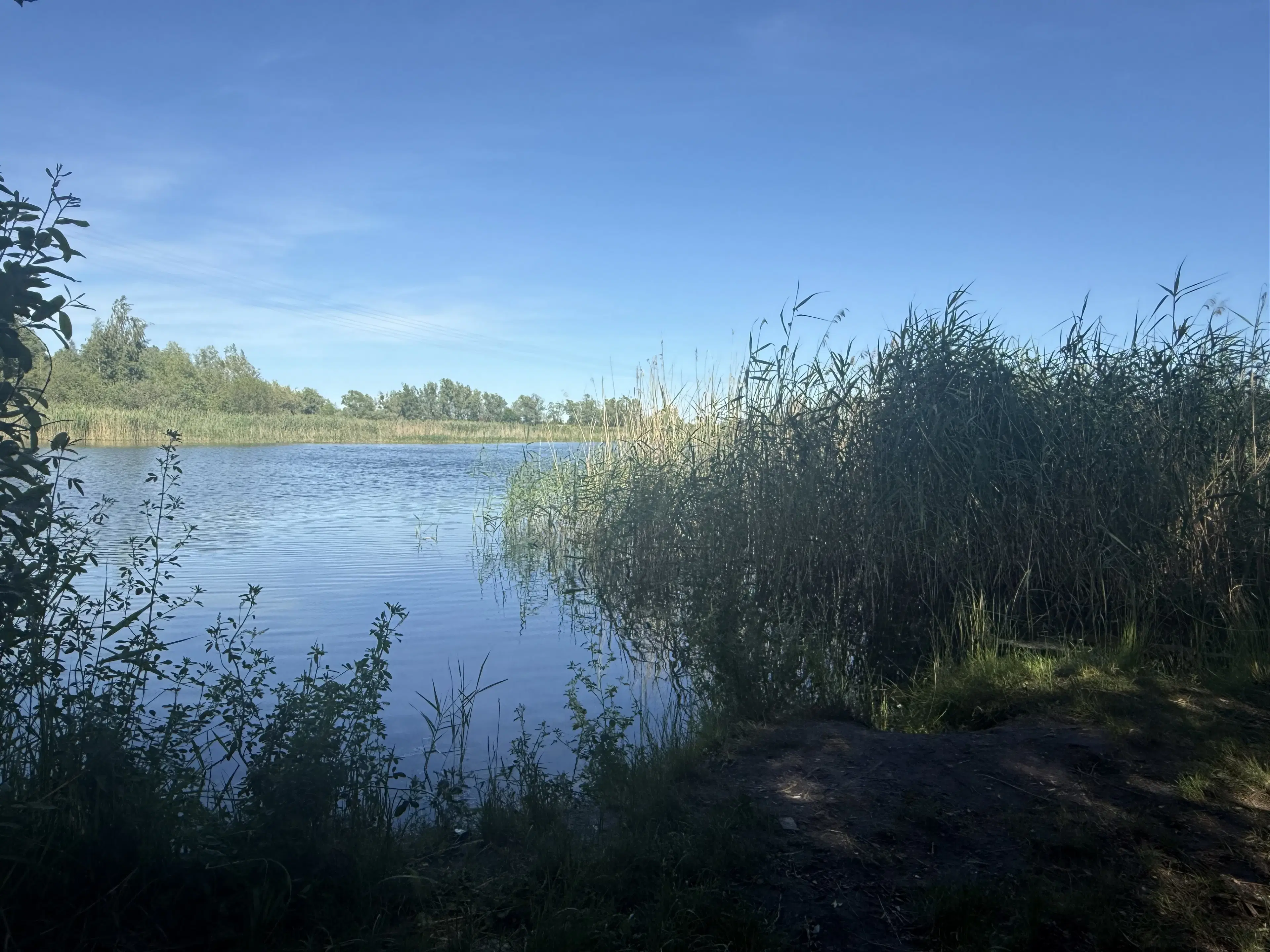 Perceel aan het water nabij Schwedt/Oder - Duitsland