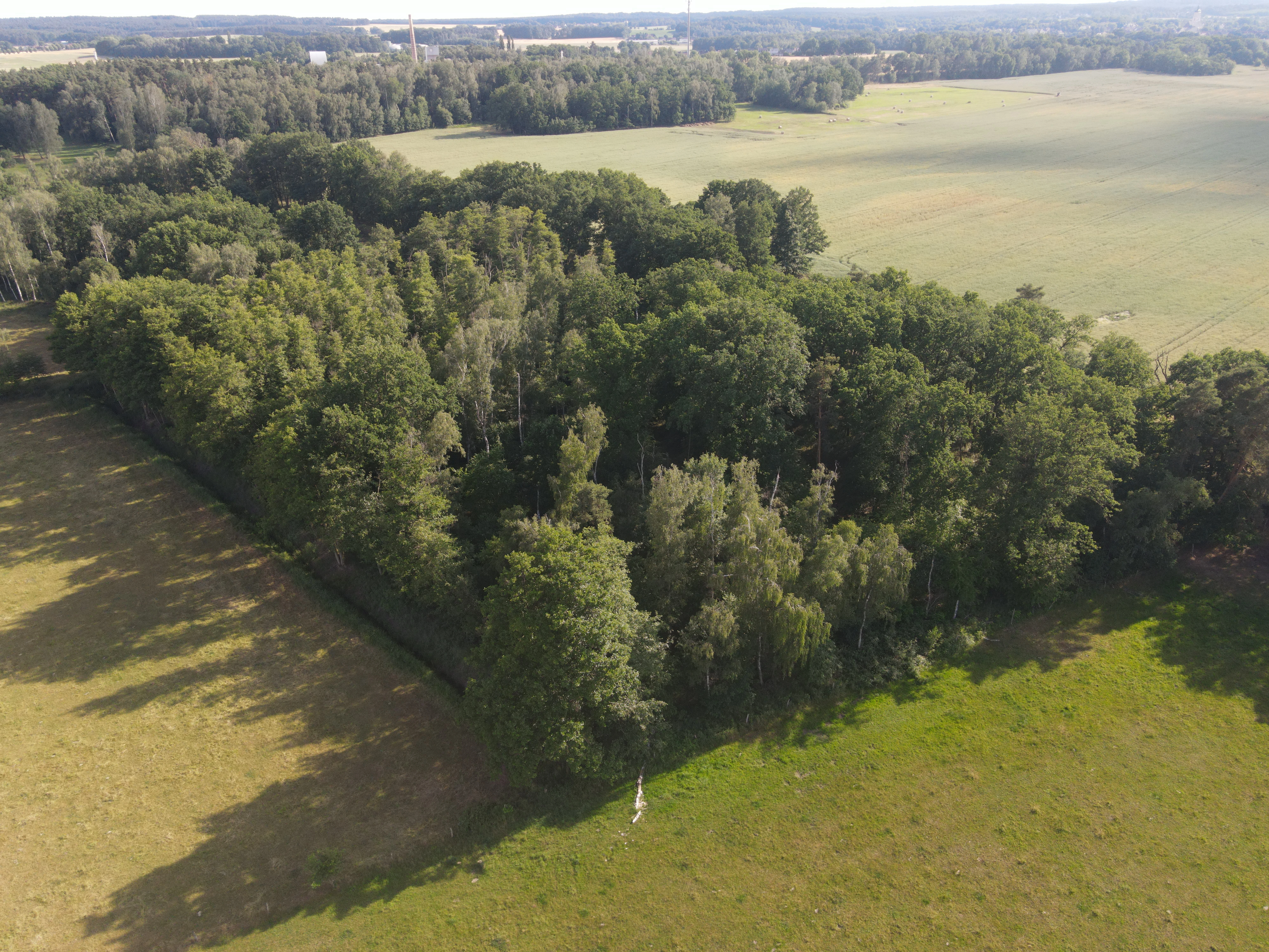 Terrein van 1.45 hectare nabij de Elbe, Bad Schmiedeberg - Duitsland
