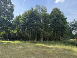 Terrein van 1.45 hectare nabij de Elbe, Bad Schmiedeberg - Duitsland