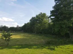 Terrein van 1.45 hectare nabij de Elbe, Bad Schmiedeberg - Duitsland