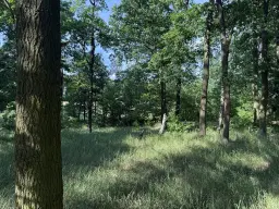 Terrein van 1.45 hectare nabij de Elbe, Bad Schmiedeberg - Duitsland