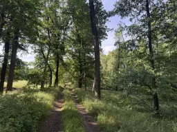 Terrein van 1.45 hectare nabij de Elbe, Bad Schmiedeberg - Duitsland