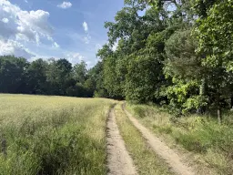 Terrein van 1.45 hectare nabij de Elbe, Bad Schmiedeberg - Duitsland