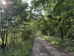 Terrein van 1.45 hectare nabij de Elbe, Bad Schmiedeberg - Duitsland