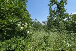 Gemengd loofbos 23.204 m² in Bela, Belogradchik - Bulgarije