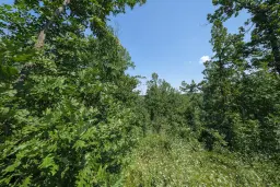 Gemengd loofbos 23.204 m² in Bela, Belogradchik - Bulgarije