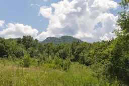 Gemengd loofbos 26.802 m² in Belogradchik - Bulgarije