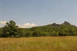 26.802 m² gemengd loofbos in Belogradchik - Bulgarije