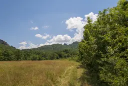 Gemengd loofbos 26.802 m² in Belogradchik - Bulgarije