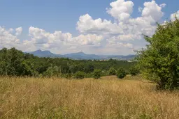 Gemengd loofbos 26.802 m² in Belogradchik - Bulgarije