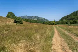 Gemengd loofbos 26.802 m² in Belogradchik - Bulgarije