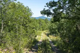 21.902 m² gemengd loofbos in Belogradchik - Bulgarije