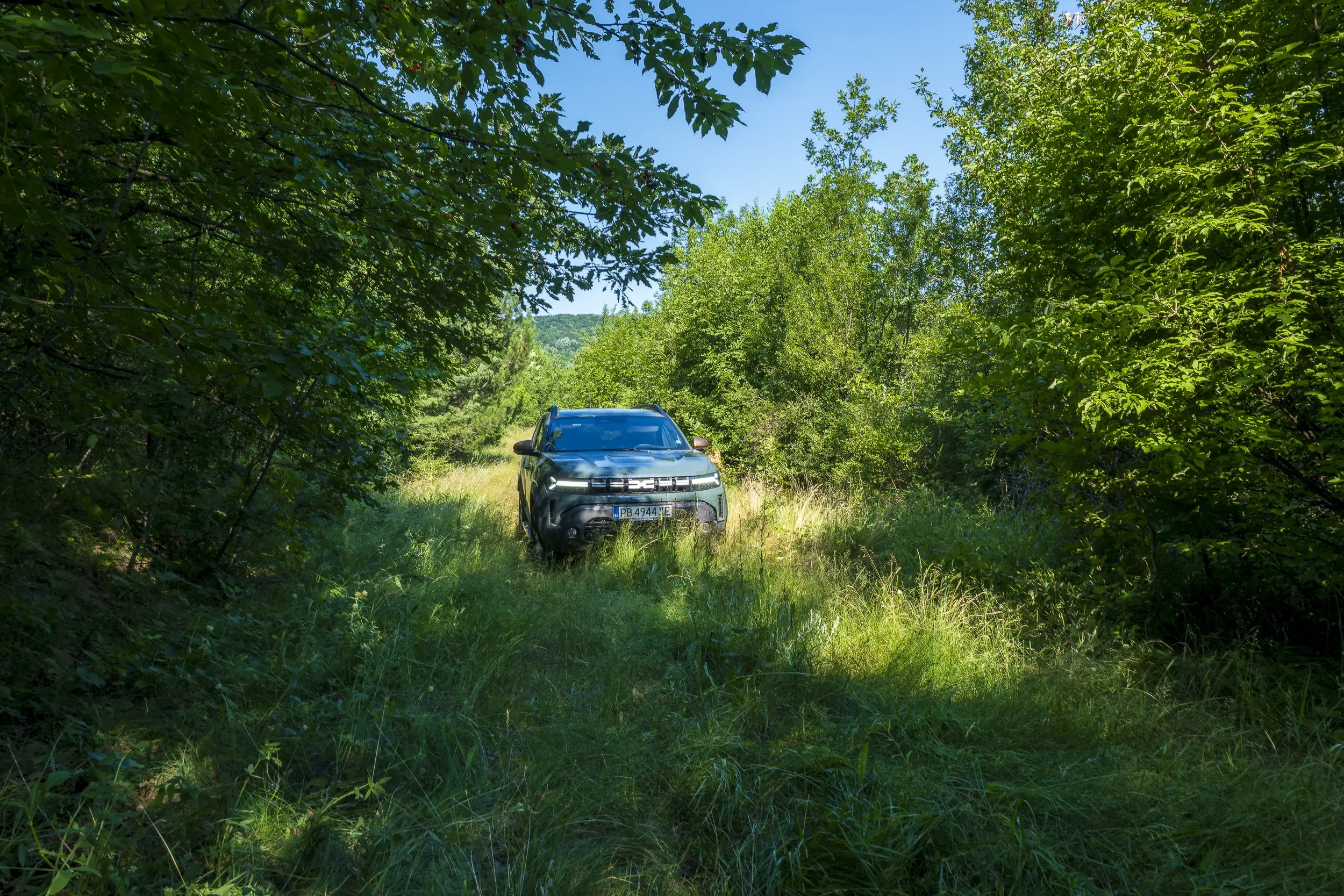 23.781 m² gemengd loofbos in de regio Vidin - Bulgarije