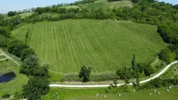 Boerderij in Cartoceto (PU) met kelder, olijfgaarden en land