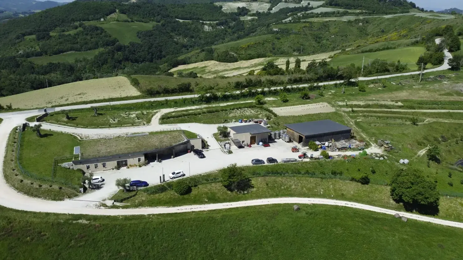 Boerderij in Cartoceto (PU) met kelder, olijfgaarden en land