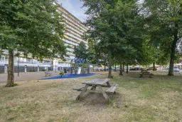 Zaandam, Pharus 18