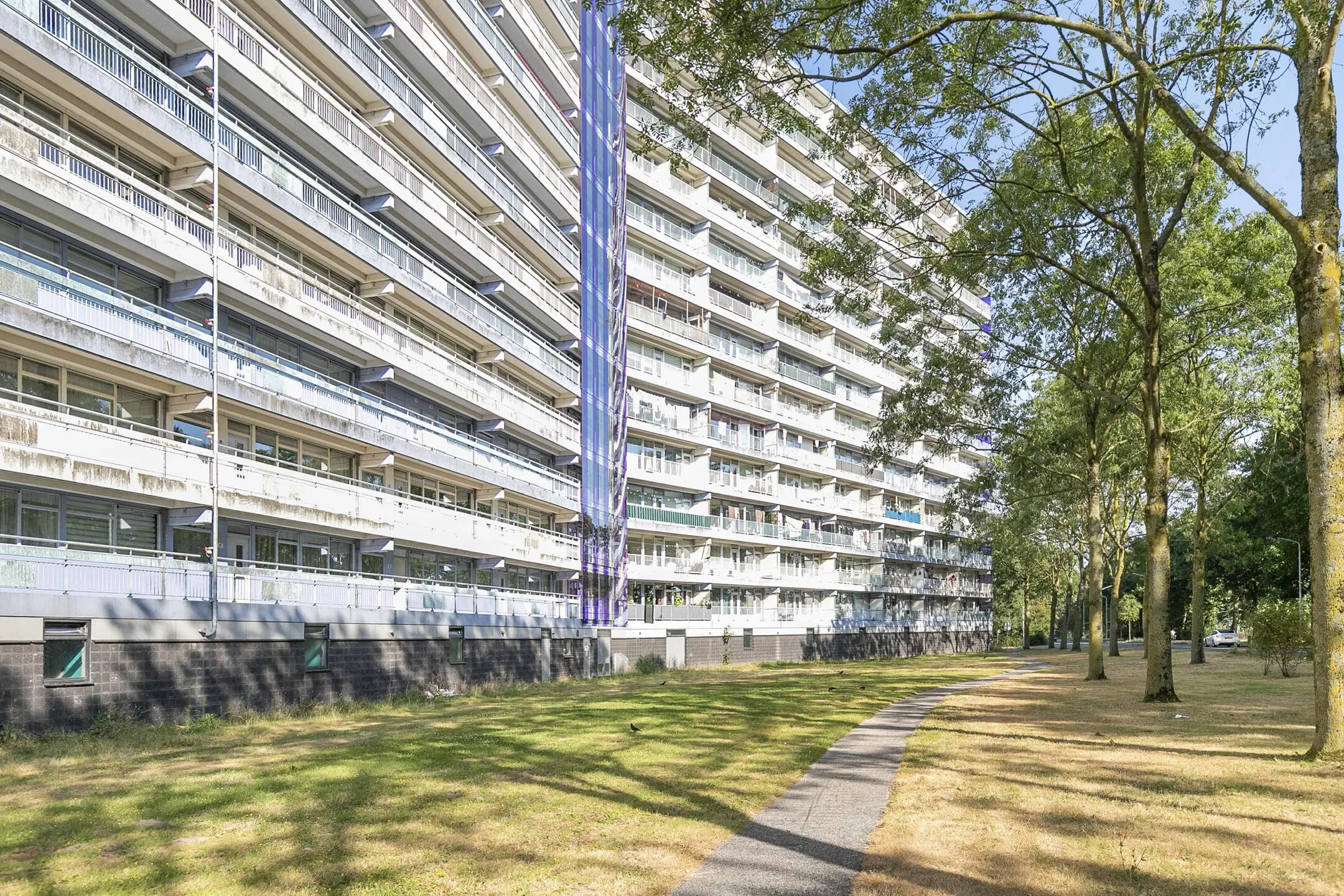 Zaandam, Pharus 18