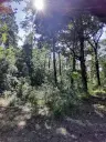 7.499 m² bosgrond (twee percelen) - Kostel, Veliko Tarnovo - Bulgarije