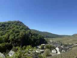 972 m² wijngaard met Riesling in Zell, Cochem - Duitsland