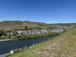 972 m² wijngaard met Riesling in Zell, Cochem - Duitsland