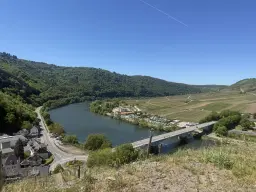 972 m² wijngaard met Riesling in Zell, Cochem - Duitsland
