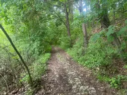 3.950 m² groen perceel nabij Ebenshausen, Thüringen - Duitsland