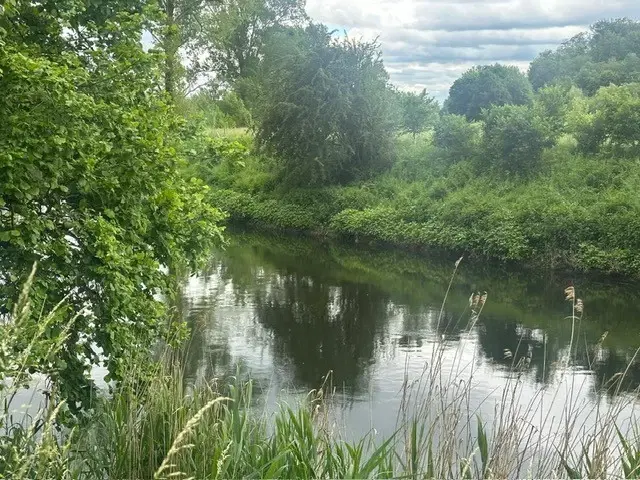 3.950 m² groen perceel nabij Ebenshausen, Thüringen - Duitsland