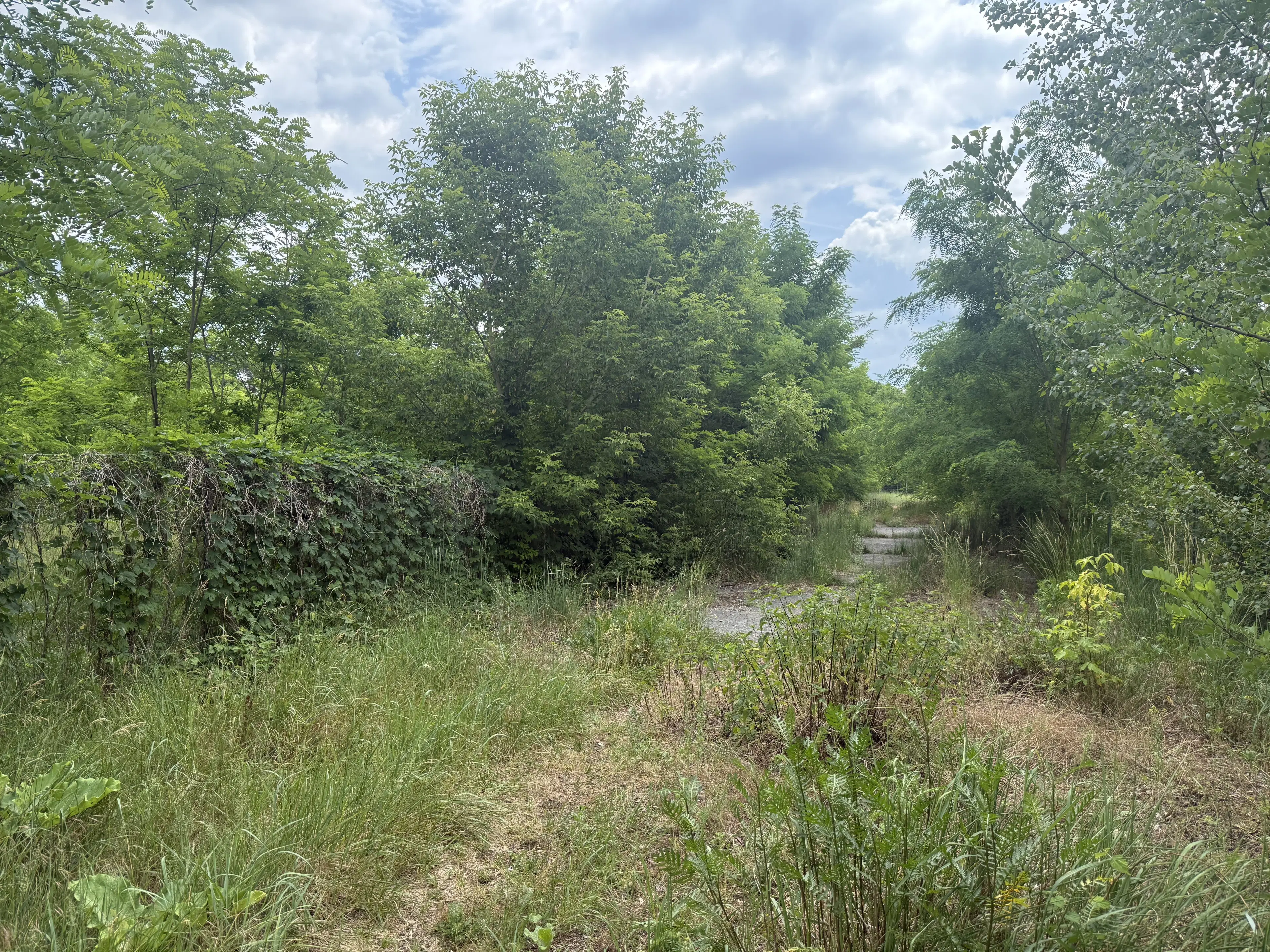 54.019 m² natuur- en recreatieterrein met recreatiemeer Ringsee in Königs Wusterhausen, nabij Berlijn – Duitsland