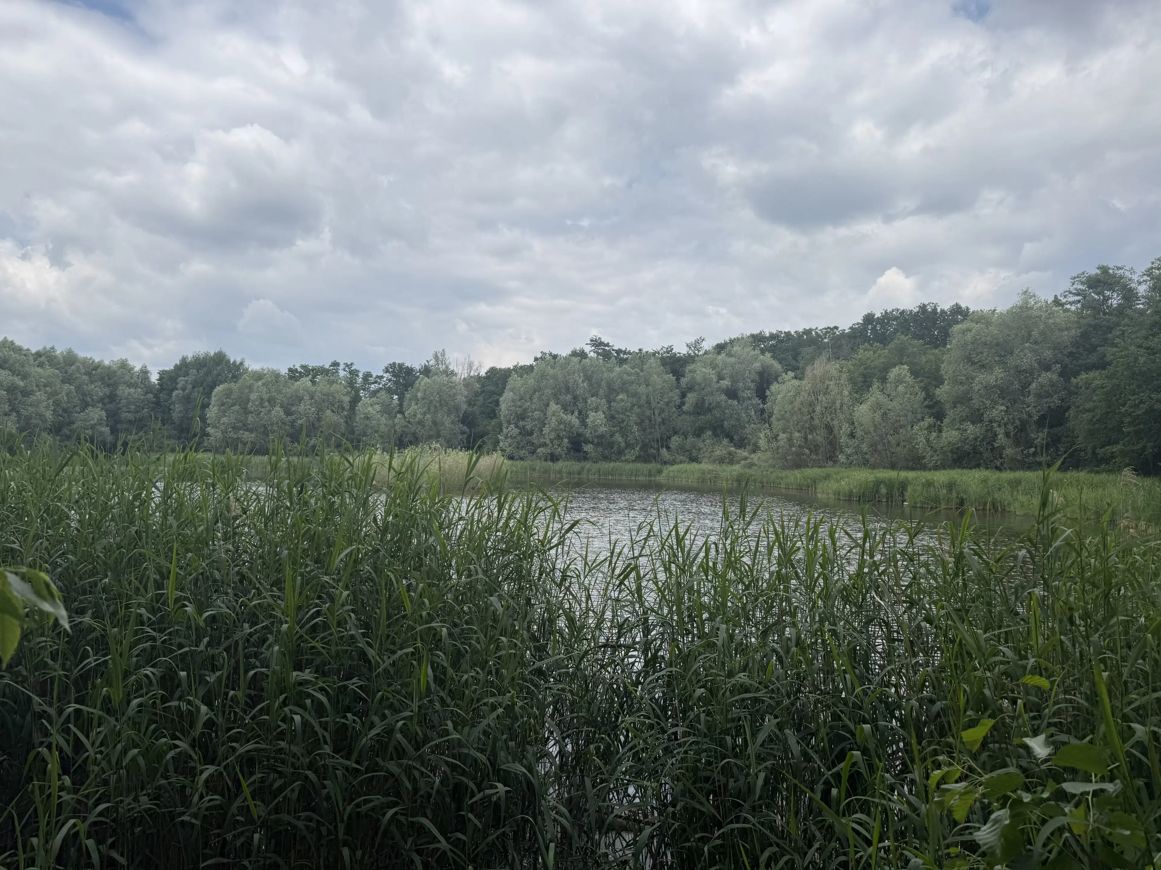 54.019 m² natuur- en recreatieterrein met recreatiemeer Ringsee in Königs Wusterhausen, nabij Berlijn – Duitsland
