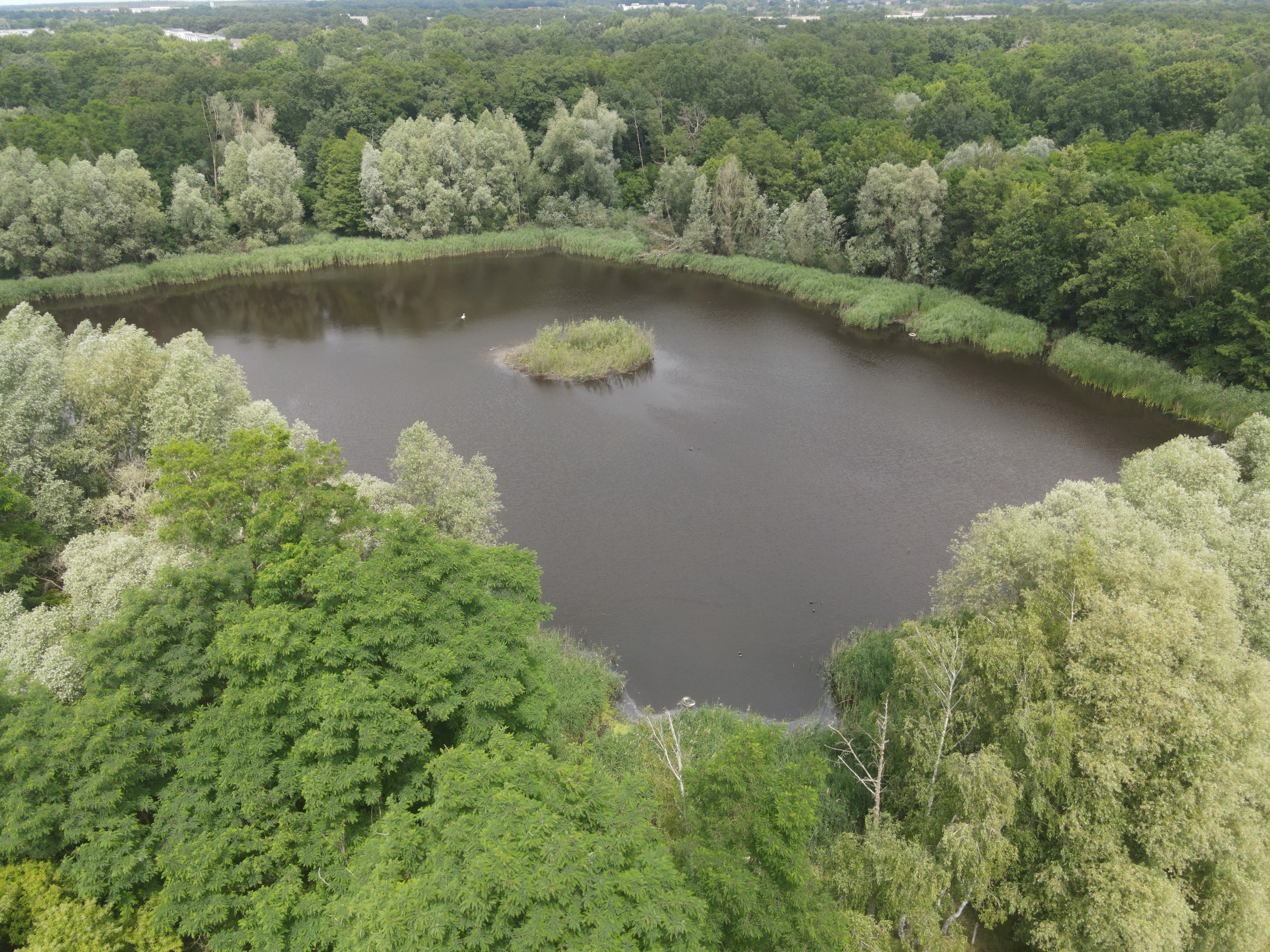 54.019 m² natuur- en recreatieterrein met recreatiemeer Ringsee in Königs Wusterhausen, nabij Berlijn – Duitsland