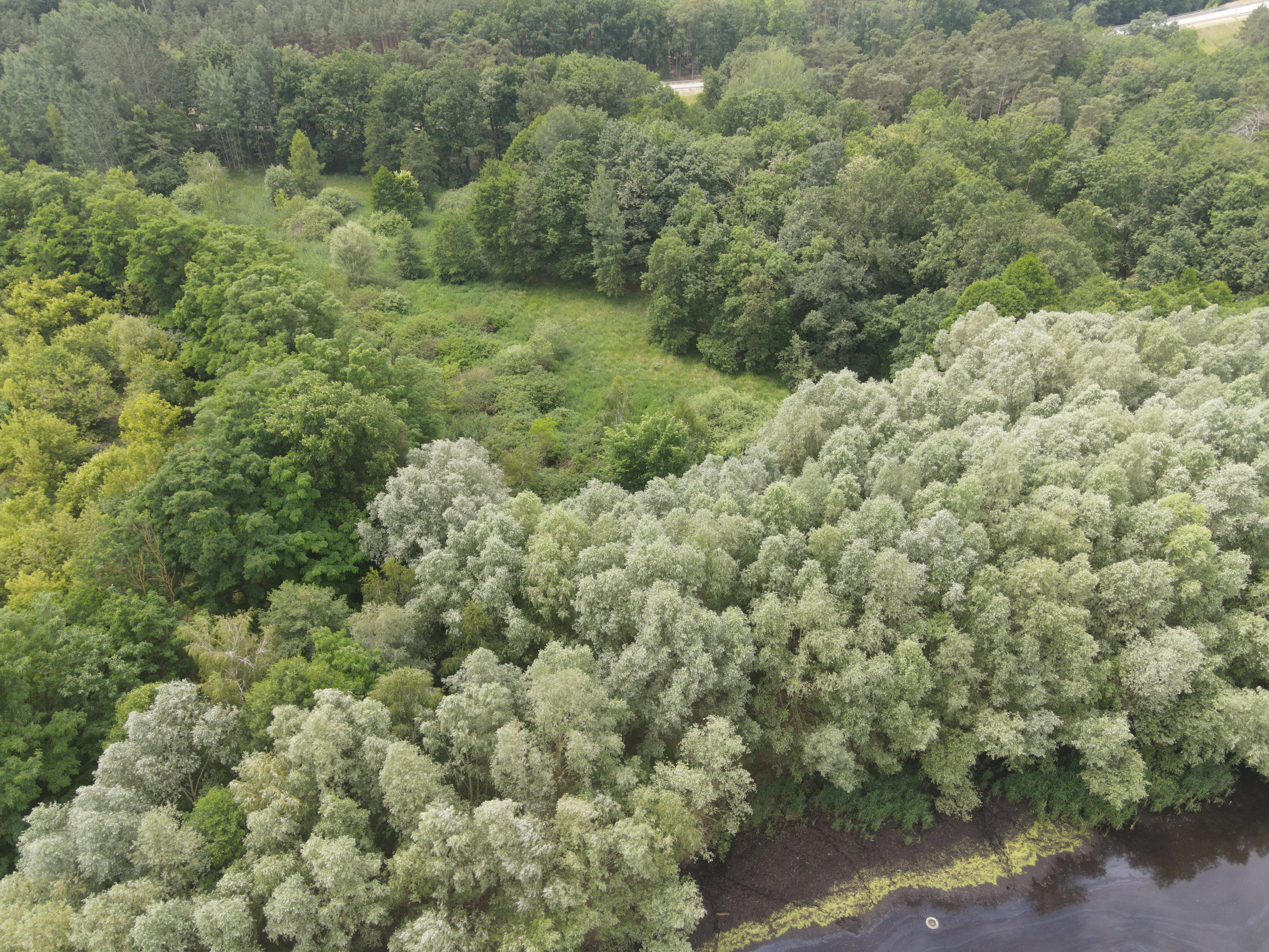54.019 m² natuur- en recreatieterrein met recreatiemeer Ringsee in Königs Wusterhausen, nabij Berlijn – Duitsland