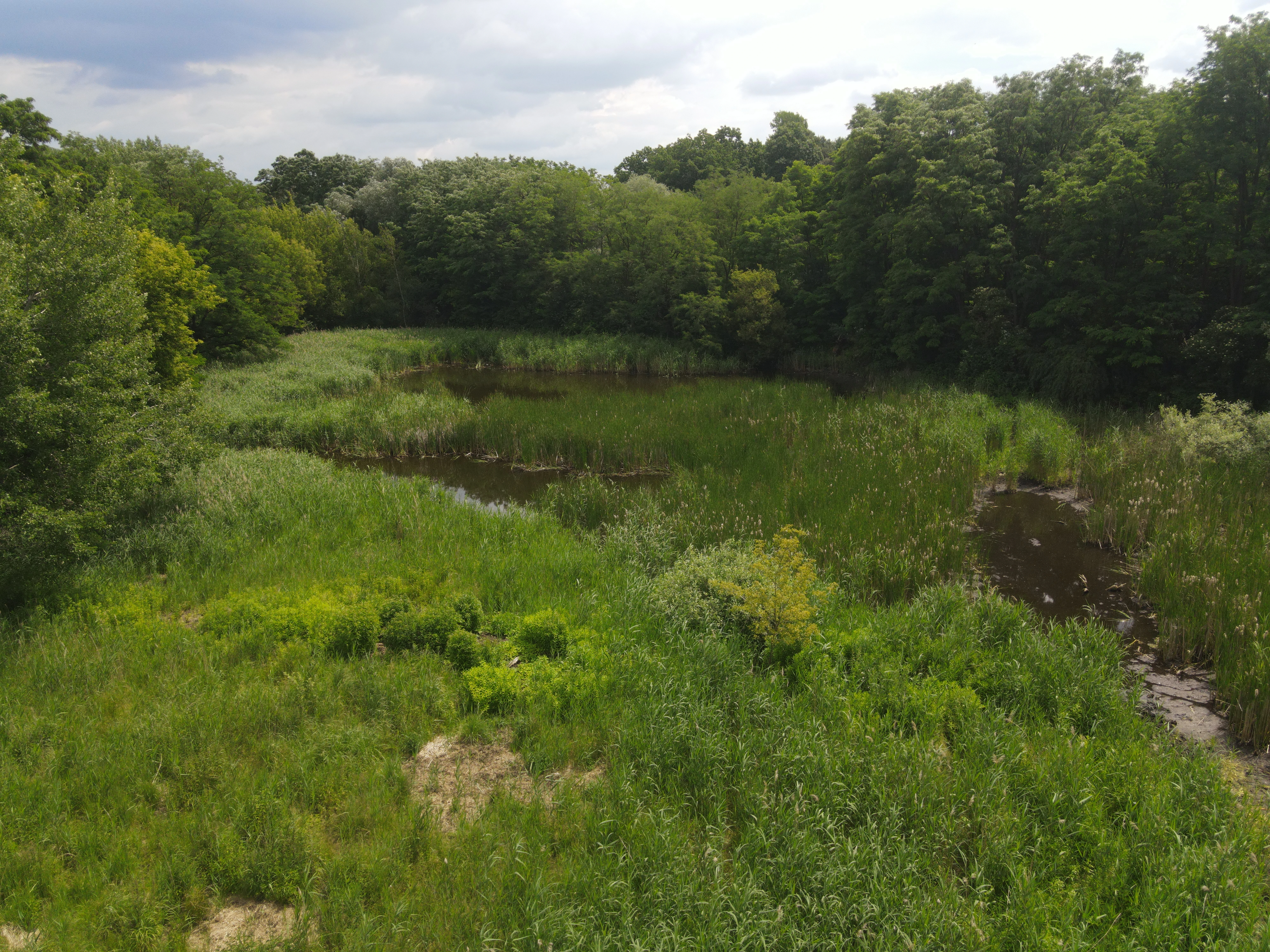 54.019 m² natuur- en recreatieterrein met recreatiemeer Ringsee in Königs Wusterhausen, nabij Berlijn – Duitsland