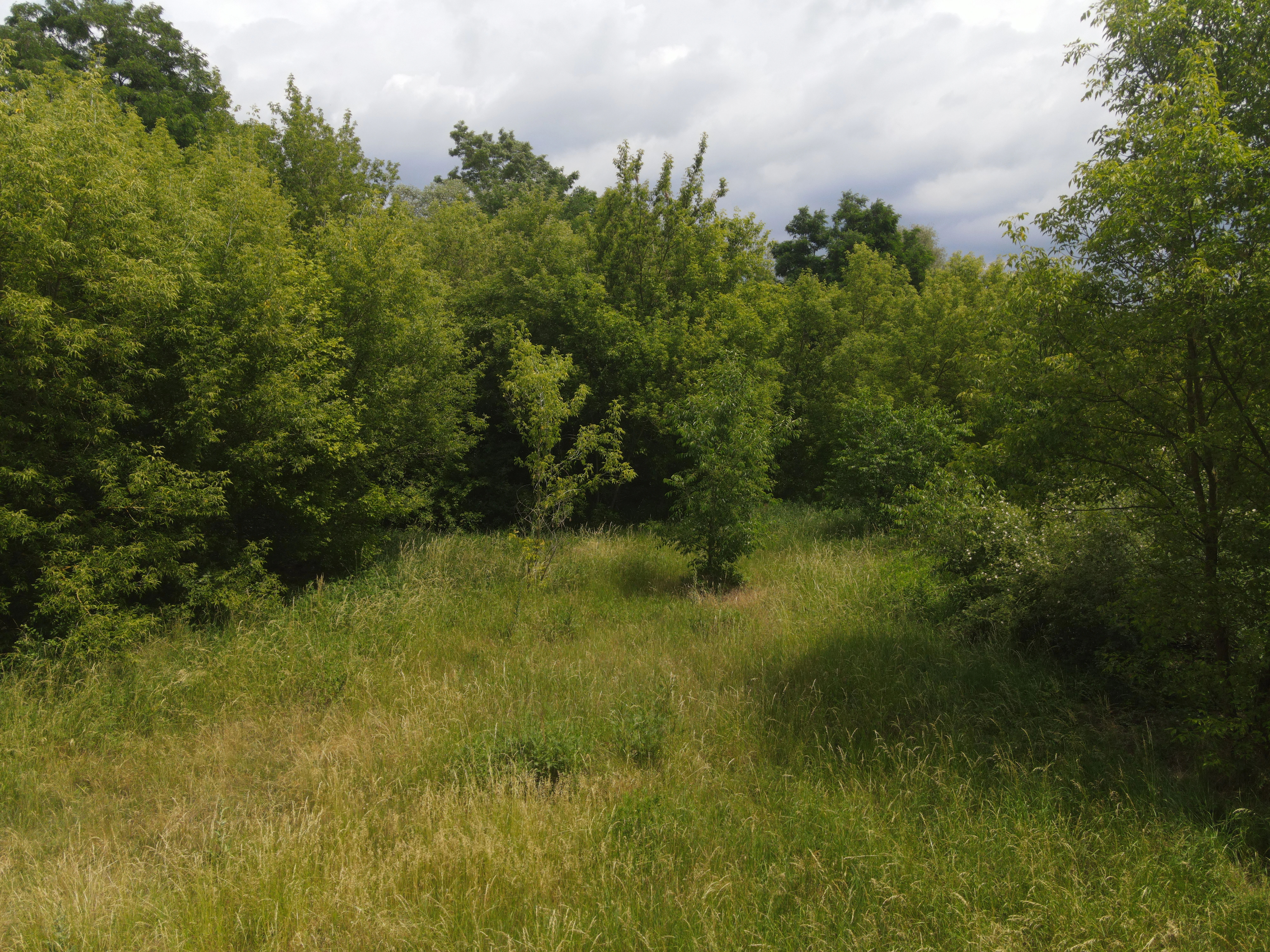 54.019 m² natuur- en recreatieterrein met recreatiemeer Ringsee in Königs Wusterhausen, nabij Berlijn – Duitsland