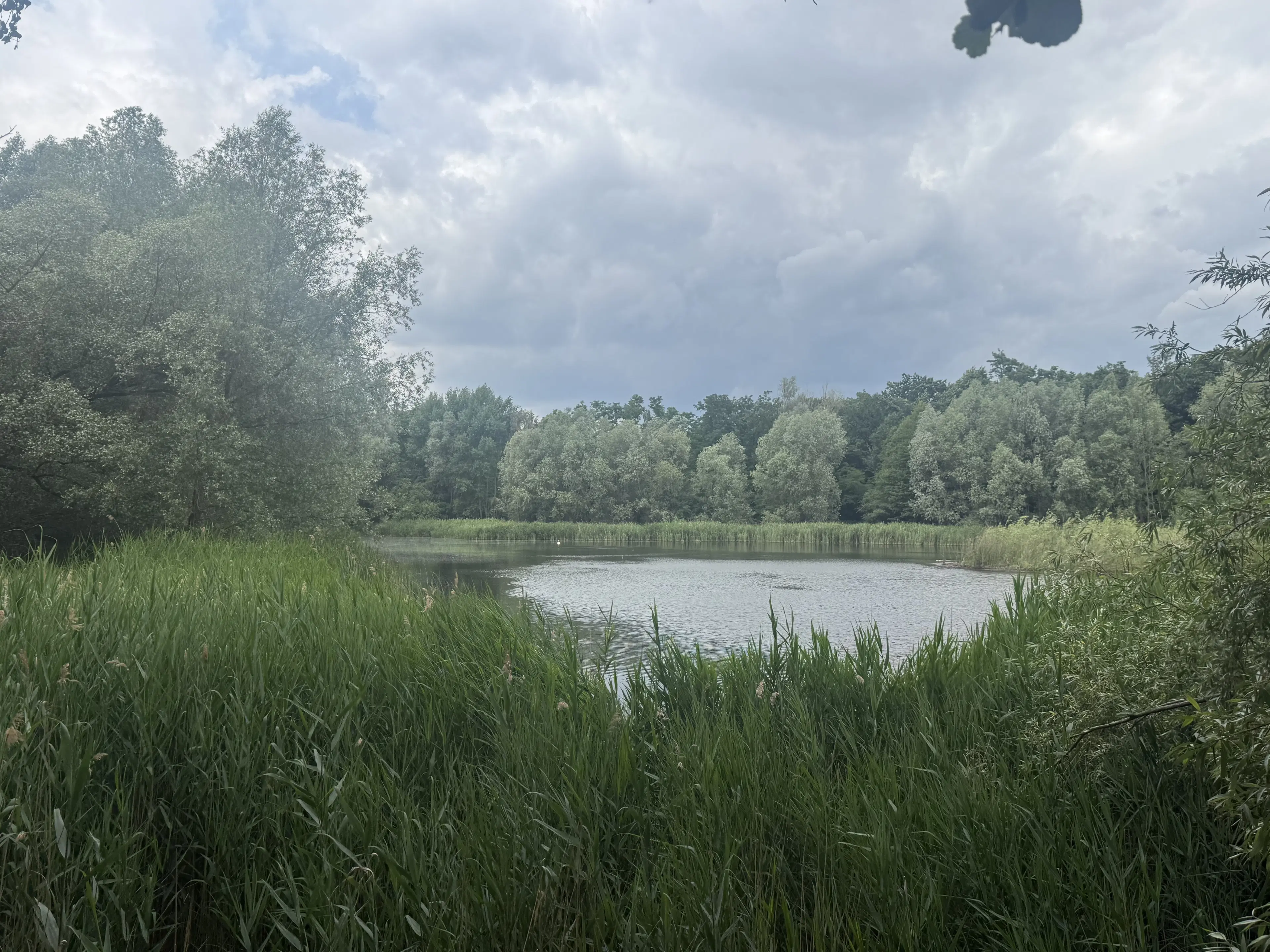 54.019 m² natuur- en recreatieterrein met recreatiemeer Ringsee in Königs Wusterhausen, nabij Berlijn – Duitsland
