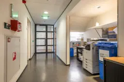 Wolvega, Grote Weegbree 2