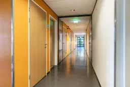 Wolvega, Grote Weegbree 2