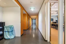 Wolvega, Grote Weegbree 2