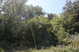 Bosgrond te koop – 31,507 m² (één perceel) | Investeringsmogelijkheid & Natuurretraite | Regio Vidin, Bulgarije