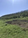 Authentiek 100 jaar oud landelijk huis + 1.006 m² grond in Glavan, Silistra - Bulgarije