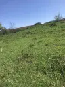 Authentiek 100 jaar oud landelijk huis + 1.006 m² grond in Glavan, Silistra - Bulgarije
