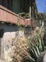 Authentiek 100 jaar oud landelijk huis + 1.006 m² grond in Glavan, Silistra - Bulgarije