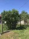 Authentiek 100 jaar oud landelijk huis + 1.006 m² grond in Glavan, Silistra - Bulgarije