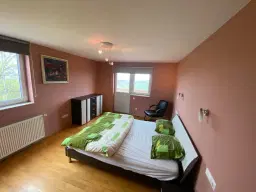 Degelijk gebouwd huis (2008) op 3.928 m² perceel in Valea Calugareasca, Judetul Prahova - Roemenië