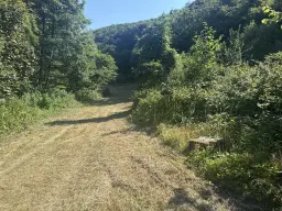 Eigendomsperceel boven rustplaats in Ernst, nabij Cochem - Duitsland