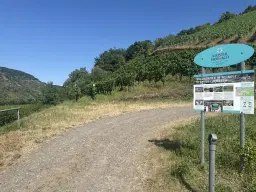 Eigendomsperceel boven rustplaats in Ernst, nabij Cochem - Duitsland