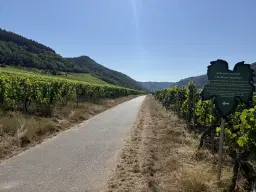 Eigendomsperceel boven rustplaats in Ernst, nabij Cochem - Duitsland