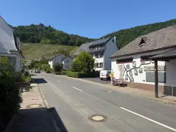 Eigendomswijngaardperceel van 497 m² boven landhotel gelegen in Weinähr, nabij Koblenz - Duitsland