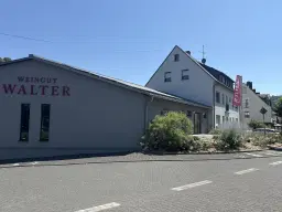 Wijngaard van totaal 2.482 m² met Riesling, gelegen in Zell, Cochem - Duitsland