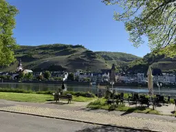 Wijngaard van totaal 2.482 m² met Riesling, gelegen in Zell, Cochem - Duitsland