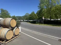 Wijngaard van totaal 2.482 m² met Riesling, gelegen in Zell, Cochem - Duitsland